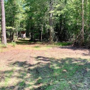 Photo of SOLD!  210 Acres of Farm and Timber Land For Sale in Johnston County NC!