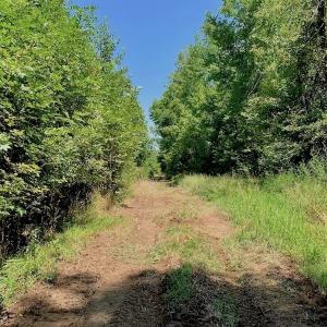 Photo of SOLD!  210 Acres of Farm and Timber Land For Sale in Johnston County NC!