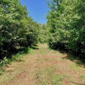 Photo of SOLD!  210 Acres of Farm and Timber Land For Sale in Johnston County NC!