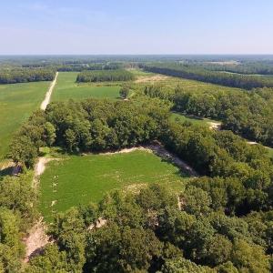 Photo of SOLD!  210 Acres of Farm and Timber Land For Sale in Johnston County NC!