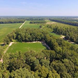 Photo of SOLD!  210 Acres of Farm and Timber Land For Sale in Johnston County NC!