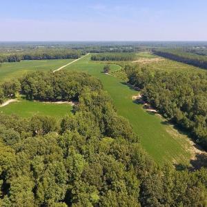 Photo of SOLD!  210 Acres of Farm and Timber Land For Sale in Johnston County NC!