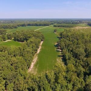 Photo of SOLD!  210 Acres of Farm and Timber Land For Sale in Johnston County NC!