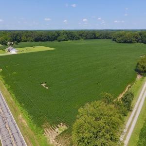 Photo of SOLD!  11.44 Acres of Farm and Investment Land For Sale in Johnston County NC!