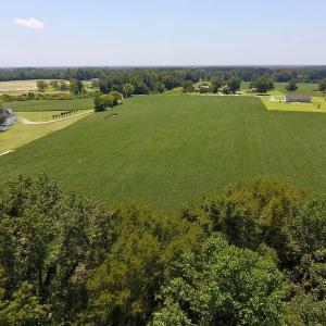 Photo of SOLD!  11.44 Acres of Farm and Investment Land For Sale in Johnston County NC!
