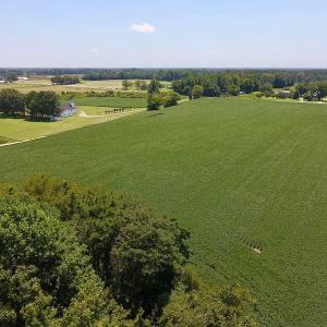 Photo of SOLD!  11.44 Acres of Farm and Investment Land For Sale in Johnston County NC!