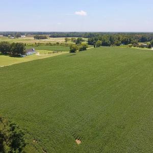 Photo of SOLD!  11.44 Acres of Farm and Investment Land For Sale in Johnston County NC!