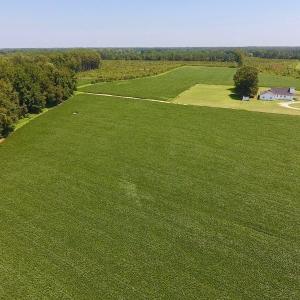 Photo of SOLD!  11.44 Acres of Farm and Investment Land For Sale in Johnston County NC!