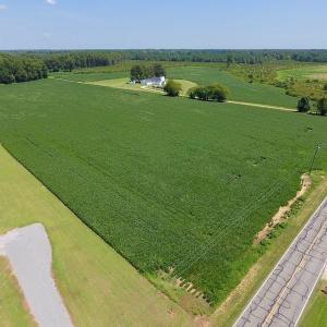 Photo of SOLD!  11.44 Acres of Farm and Investment Land For Sale in Johnston County NC!