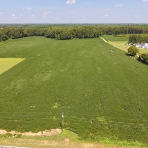 Photo of SOLD!  11.44 Acres of Farm and Investment Land For Sale in Johnston County NC!