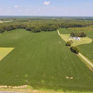 Photo of SOLD!  11.44 Acres of Farm and Investment Land For Sale in Johnston County NC!