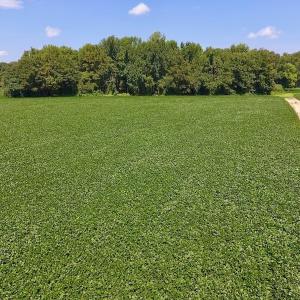 Photo of SOLD!  11.44 Acres of Farm and Investment Land For Sale in Johnston County NC!