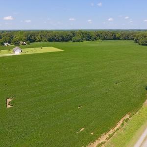 Photo of SOLD!  11.44 Acres of Farm and Investment Land For Sale in Johnston County NC!