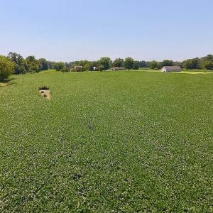 Photo of SOLD!  11.44 Acres of Farm and Investment Land For Sale in Johnston County NC!