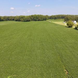 Photo of SOLD!  11.44 Acres of Farm and Investment Land For Sale in Johnston County NC!