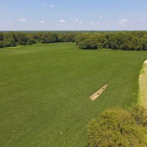 Photo of SOLD!  11.44 Acres of Farm and Investment Land For Sale in Johnston County NC!