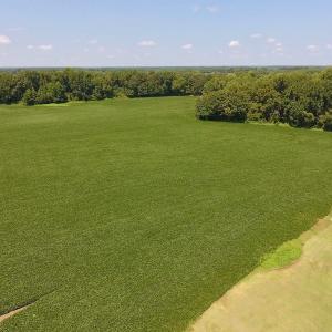 Photo of SOLD!  11.44 Acres of Farm and Investment Land For Sale in Johnston County NC!