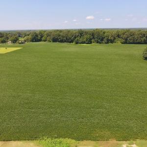 Photo of SOLD!  11.44 Acres of Farm and Investment Land For Sale in Johnston County NC!