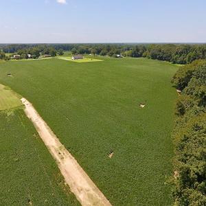 Photo of SOLD!  11.44 Acres of Farm and Investment Land For Sale in Johnston County NC!