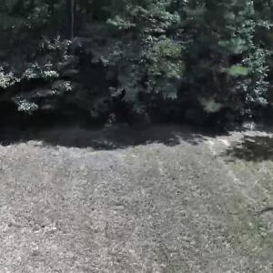 Photo of SOLD!  1.82 acres of Recreational Land For Sale in Mecklenburg County VA!