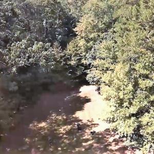 Photo of SOLD!  1.82 acres of Recreational Land For Sale in Mecklenburg County VA!