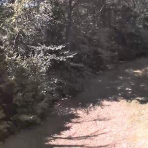 Photo of SOLD!  1.82 acres of Recreational Land For Sale in Mecklenburg County VA!