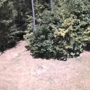 Photo of SOLD!  1.82 acres of Recreational Land For Sale in Mecklenburg County VA!