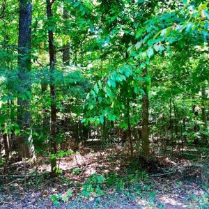 Photo of SOLD!  1.82 acres of Recreational Land For Sale in Mecklenburg County VA!