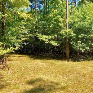 Photo of SOLD!  1.82 acres of Recreational Land For Sale in Mecklenburg County VA!