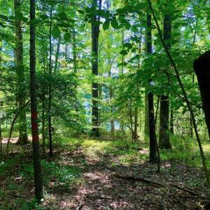 Photo of SOLD!  1.82 acres of Recreational Land For Sale in Mecklenburg County VA!