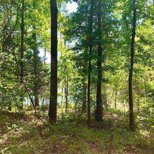 Photo of SOLD!  1.82 acres of Recreational Land For Sale in Mecklenburg County VA!
