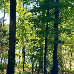 Photo of SOLD!  1.82 acres of Recreational Land For Sale in Mecklenburg County VA!
