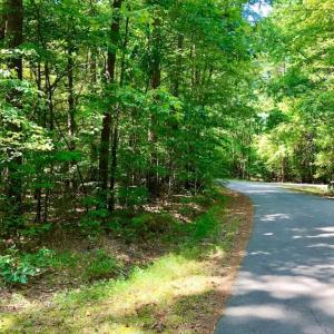 Photo of SOLD!  1.82 acres of Recreational Land For Sale in Mecklenburg County VA!