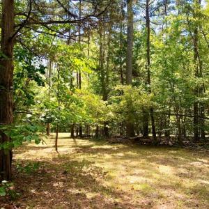 Photo of SOLD!  1.82 acres of Recreational Land For Sale in Mecklenburg County VA!