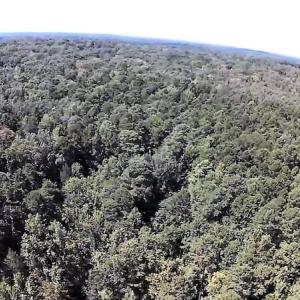 Photo of SOLD!  1.82 acres of Recreational Land For Sale in Mecklenburg County VA!