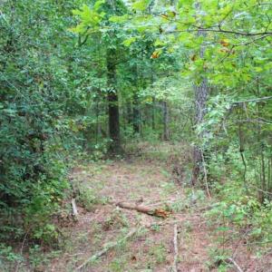 Photo of SOLD!!  6 Acres of Hunting and Residential Land For Sale in Surry County VA!