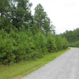 Photo of SOLD!!  6 Acres of Hunting and Residential Land For Sale in Surry County VA!
