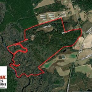 Photo of REDUCED! 265 Acres of Prime Hunting Land For Sale in Sampson County NC!