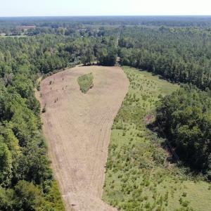 Photo of REDUCED! 265 Acres of Prime Hunting Land For Sale in Sampson County NC!