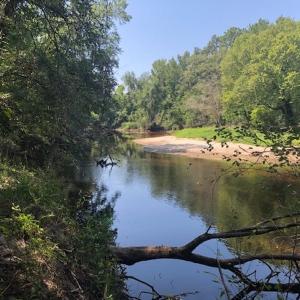 Photo of REDUCED! 265 Acres of Prime Hunting Land For Sale in Sampson County NC!
