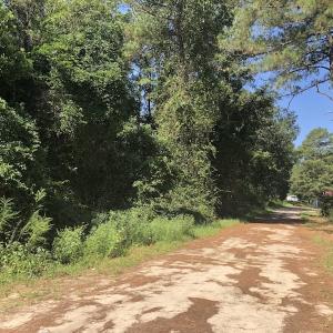 Photo of REDUCED! 265 Acres of Prime Hunting Land For Sale in Sampson County NC!