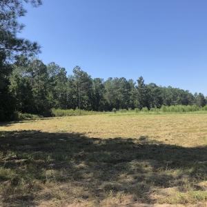 Photo of REDUCED! 265 Acres of Prime Hunting Land For Sale in Sampson County NC!