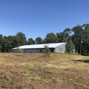 Photo of REDUCED! 265 Acres of Prime Hunting Land For Sale in Sampson County NC!