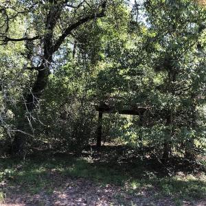 Photo of REDUCED! 265 Acres of Prime Hunting Land For Sale in Sampson County NC!