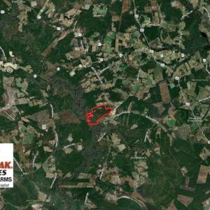 Photo of REDUCED! 265 Acres of Prime Hunting Land For Sale in Sampson County NC!