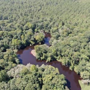 Photo of REDUCED! 265 Acres of Prime Hunting Land For Sale in Sampson County NC!