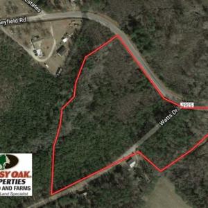 Photo of SOLD!!  11 acres of Residential and Hunting Land for Sale in Columbus County NC!