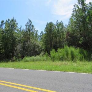 Photo of SOLD!!  11 acres of Residential and Hunting Land for Sale in Columbus County NC!