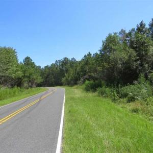 Photo of SOLD!!  11 acres of Residential and Hunting Land for Sale in Columbus County NC!