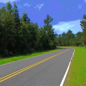 Photo of SOLD!!  11 acres of Residential and Hunting Land for Sale in Columbus County NC!